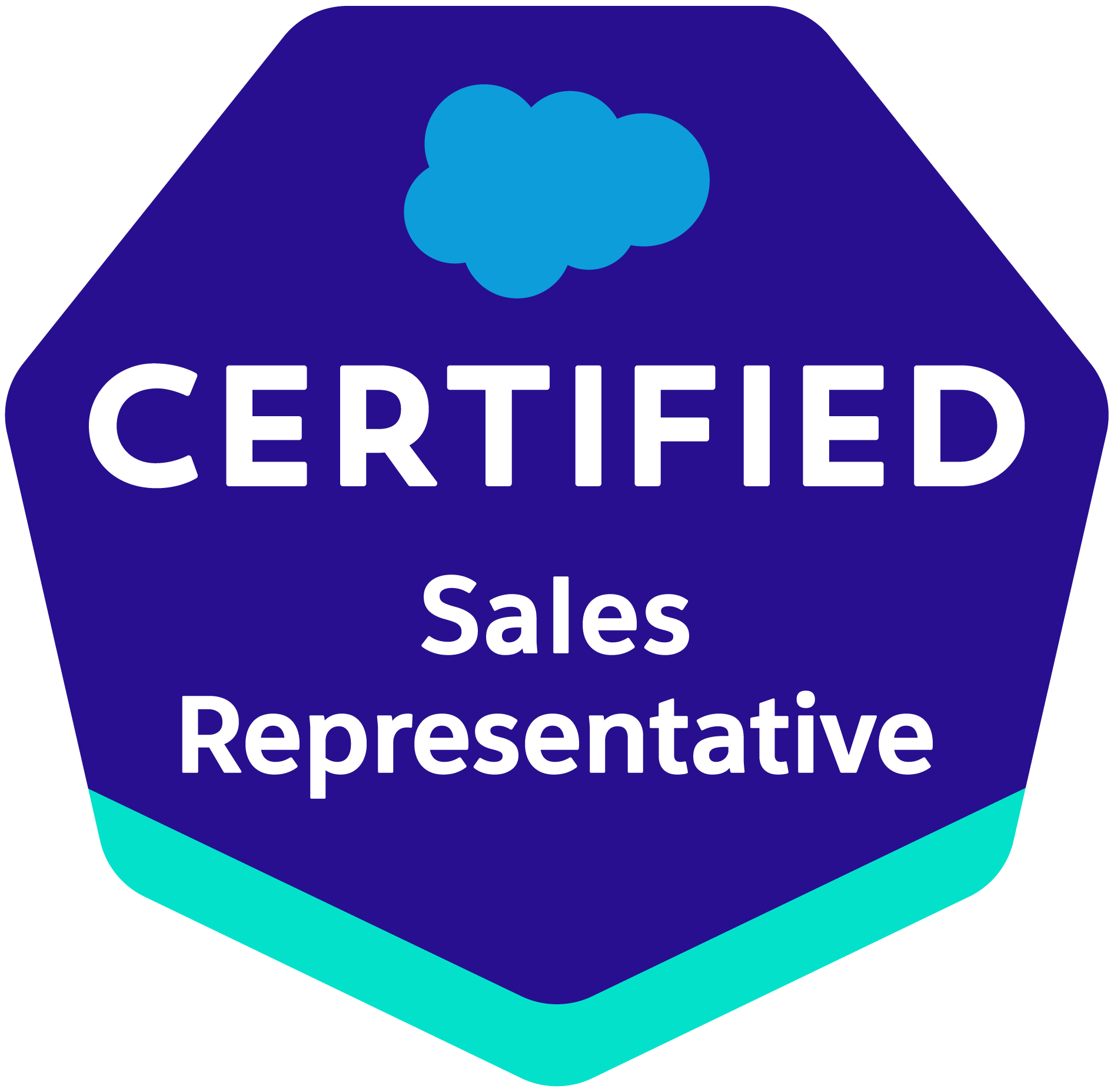 Salesforce 認定 Sales Representative